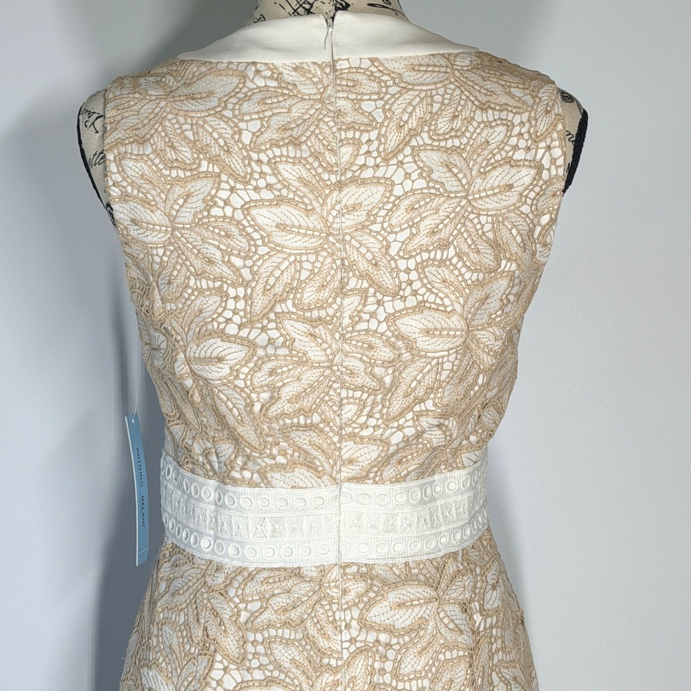 Antonio Melani Egot Lace Midi Dress Ivory Biscotti Bridal Coquette Size 6 NWT - Picture 10 of 15